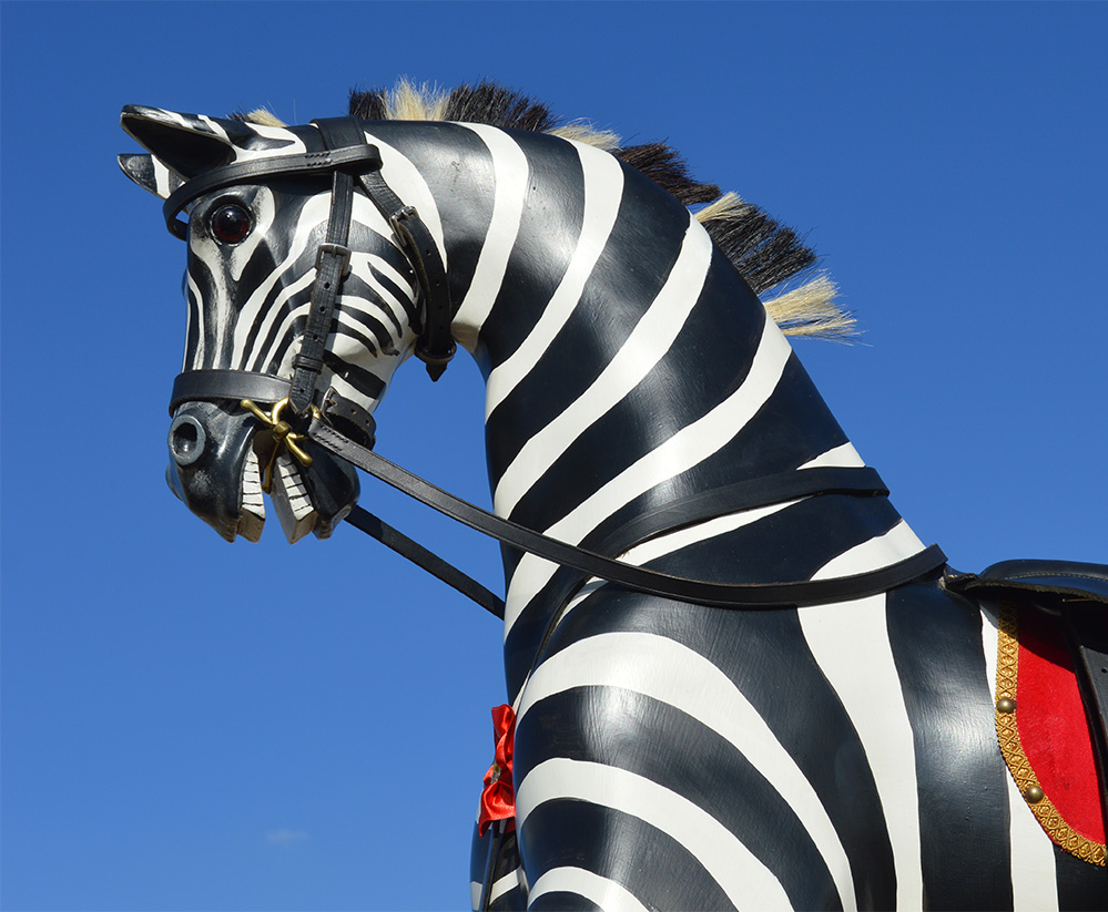 Zebra at Stonor Park Show, Henley on Thames
